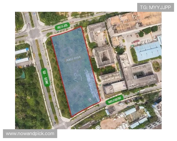 乐竞体育平台未来发展趋势与创新方向全面展望与行业分析